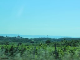 Alfa City 2017