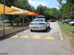 Alfa City 2017