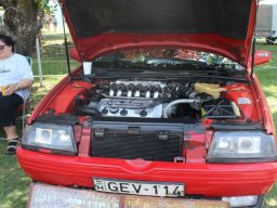 Alfa City 2017