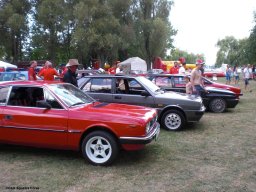 Alfa City 2017