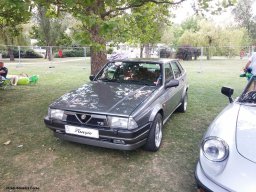 Alfa City 2017