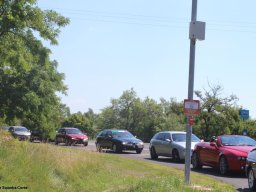 Alfa City 2017