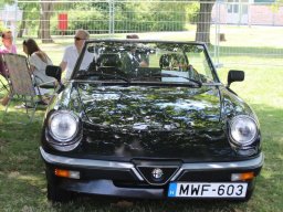 Alfa City 2017