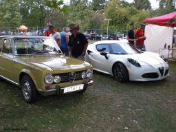 Alfa City 2017