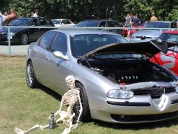 Alfa City 2017