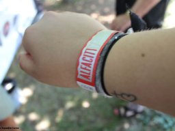 Alfa City 2017