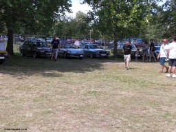 Alfa City 2017