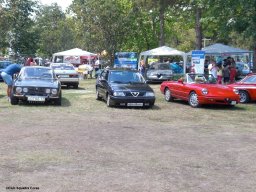 Alfa City 2017