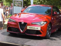 Alfa City 2017
