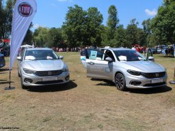 Alfa City 2017