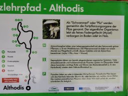 Sommerausfahrt 2020